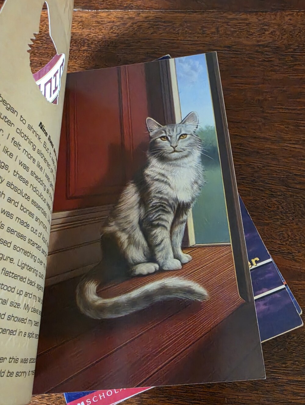 Animorphs Books 1-4 By K.A. Applegate Paperback - Picture 10 of 13